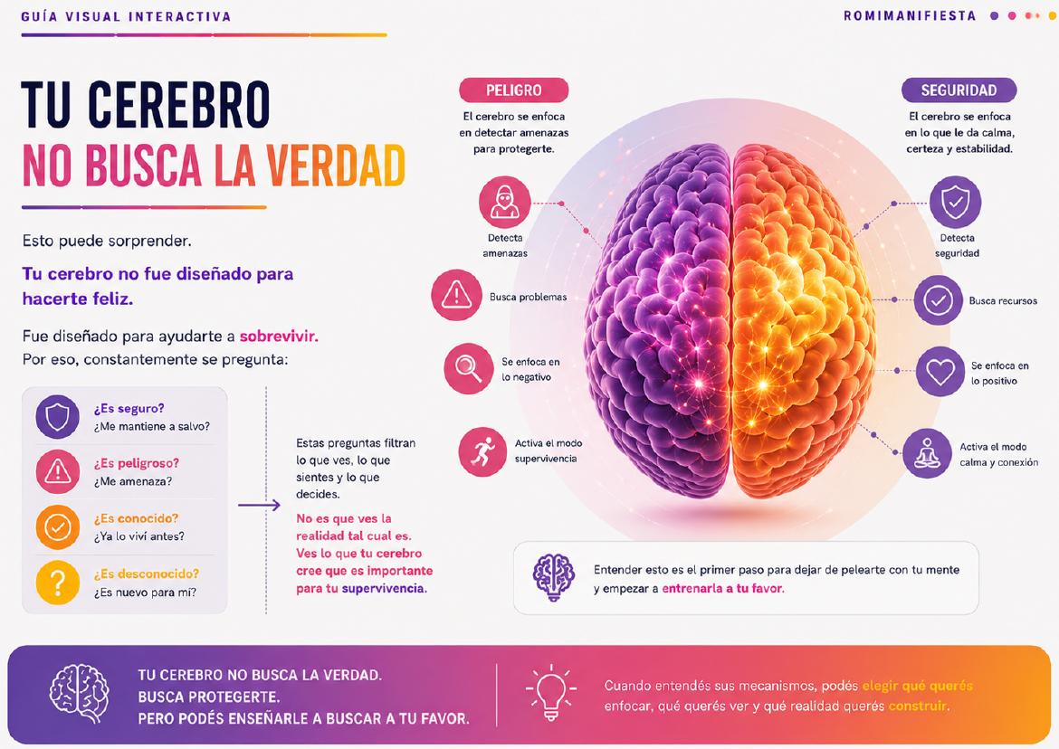 Vista previa bonus 2