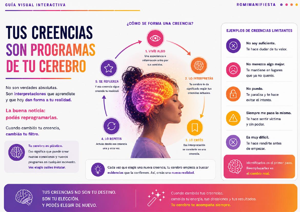 Vista previa bonus 4